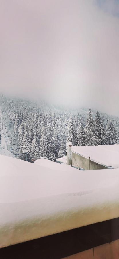 Apartments Black Horse Pamporovo Esterno foto
